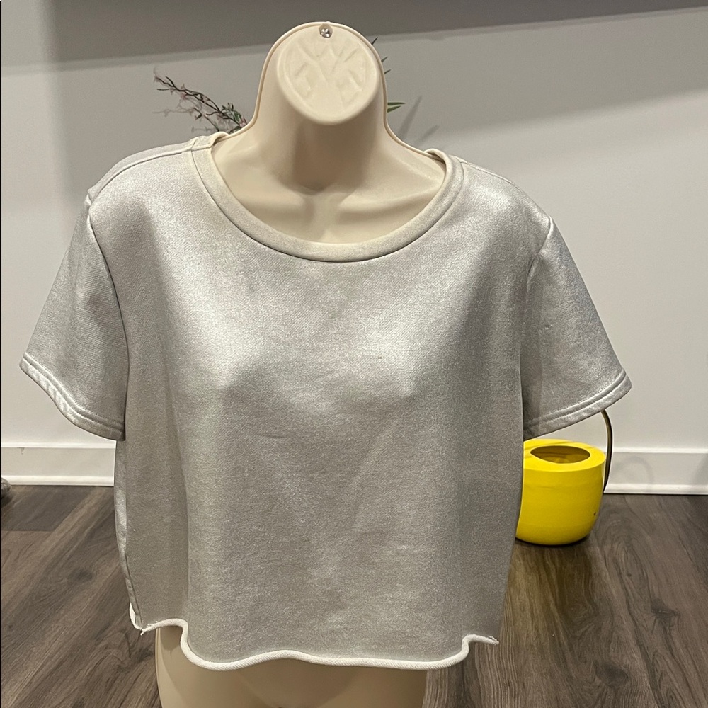 Women's Silver Crop Top